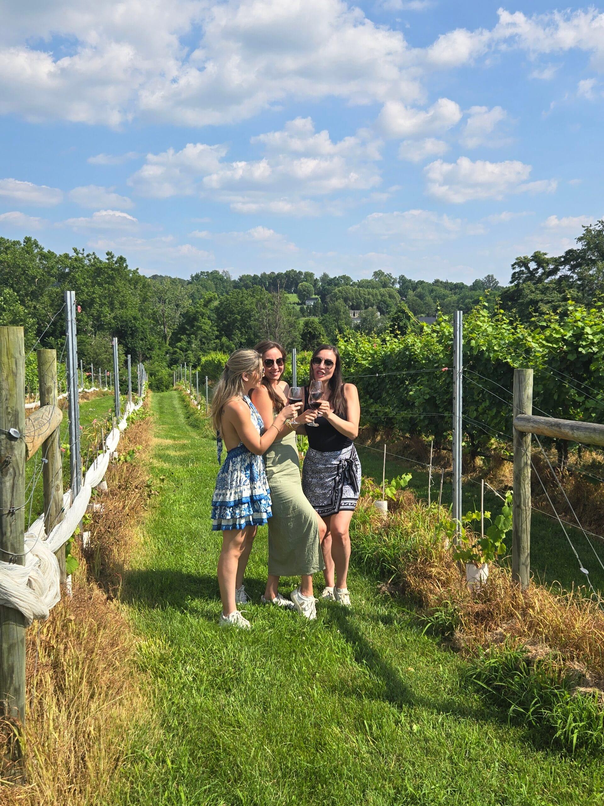 Friends raising glasses among vineyard rows in Loudoun County