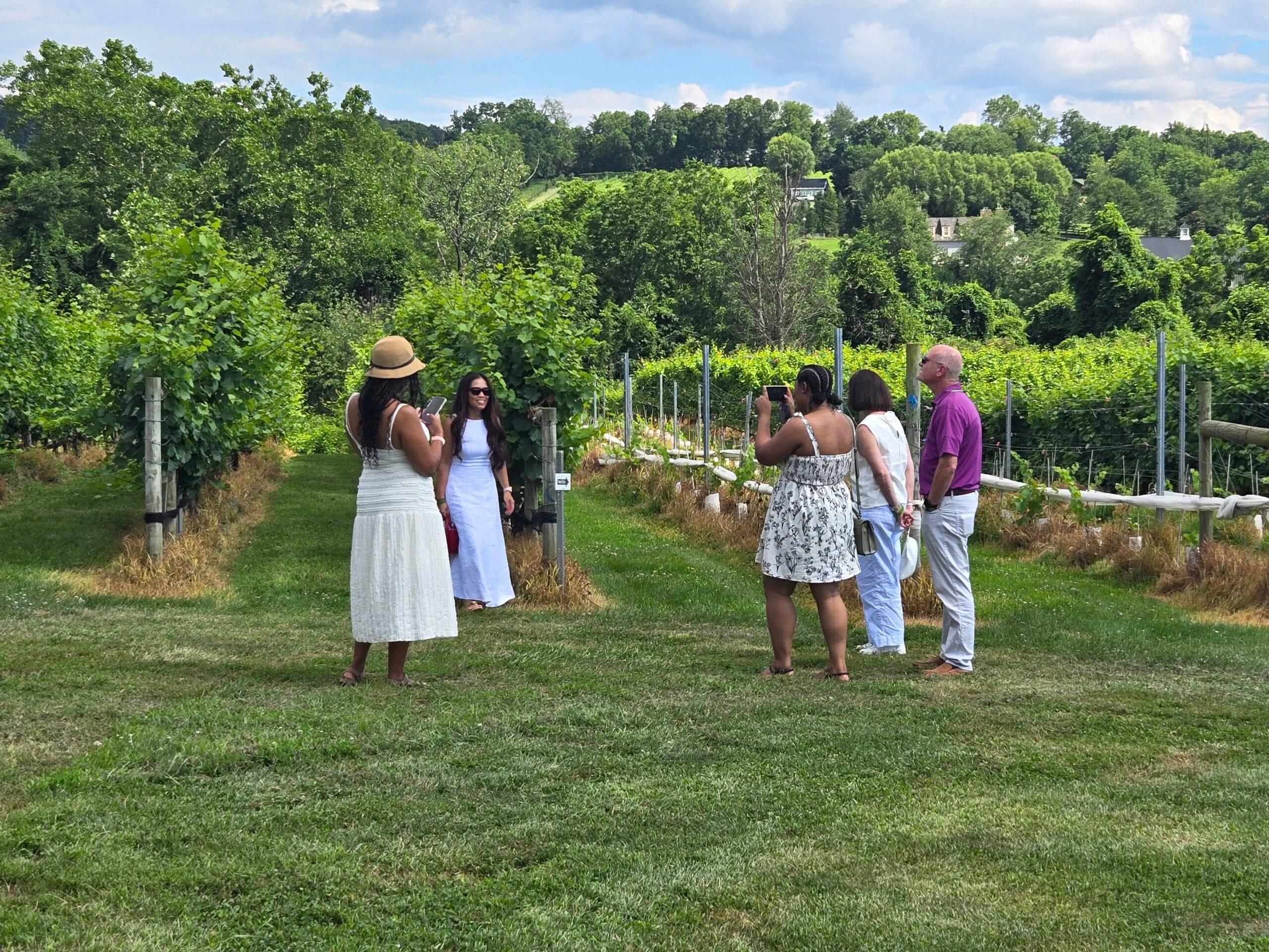 Vineyard Voyages guests walking through a Virginia vineyard during a scheduled tour