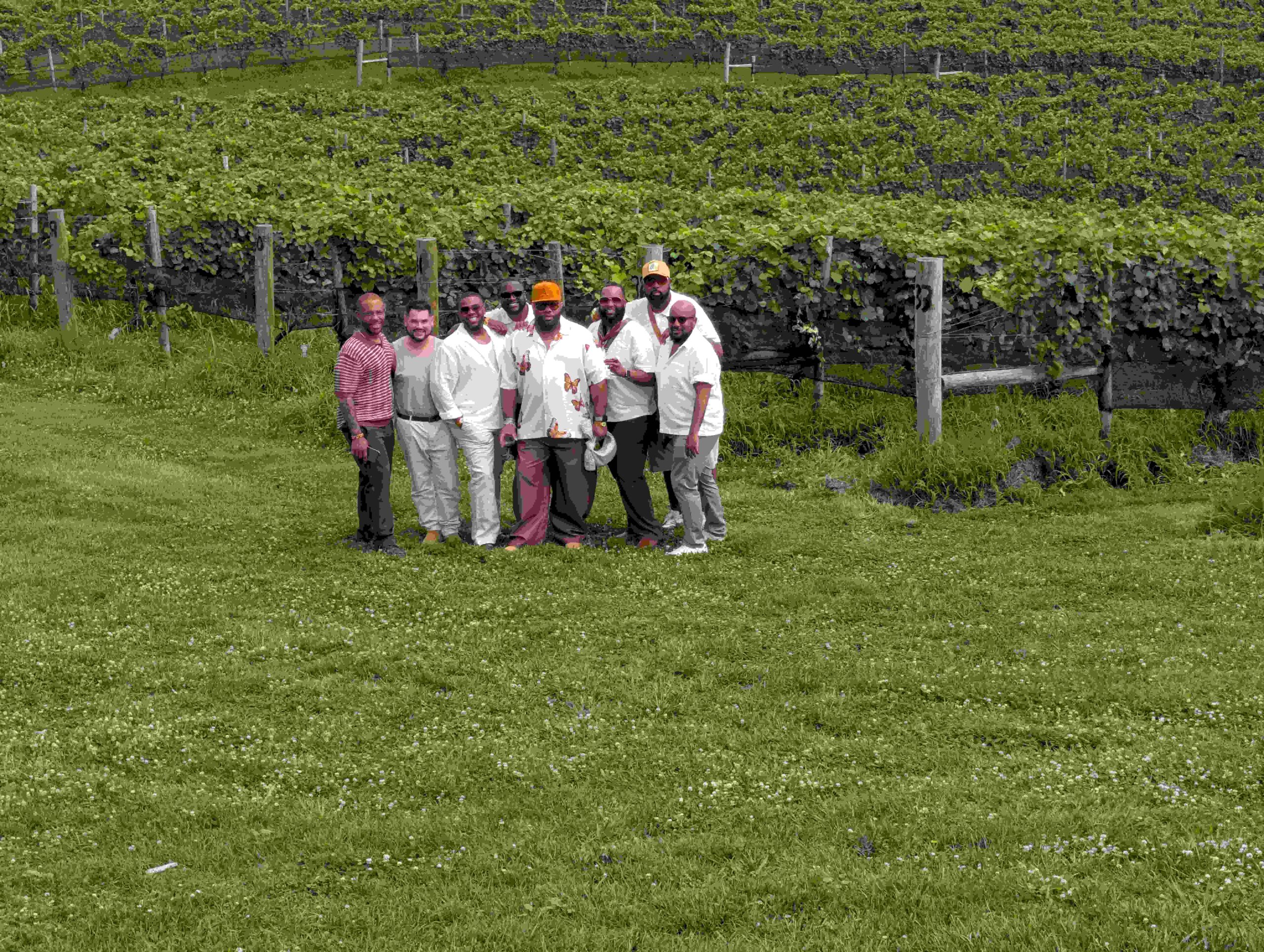 A bachelor-party group standing together among vineyard rows