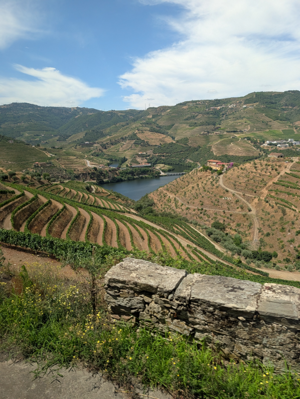 Terraced vineyards and the Douro River during the 2026 Portugal International Wine Voyage