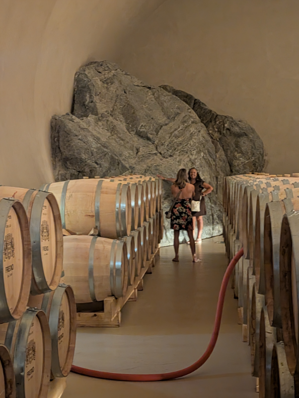 Wine barrels aging inside Adega de Borba's marble cellar