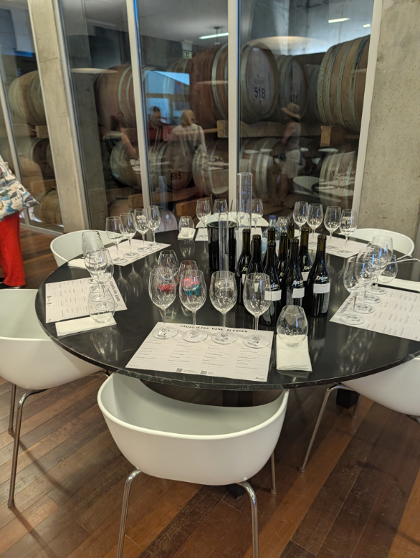 A comparative lineup of Alentejo wines during a guided tasting