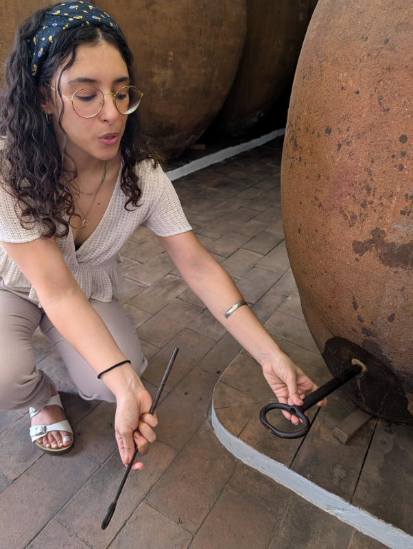 Traditional clay wine amphorae in a southern Alentejo cellar