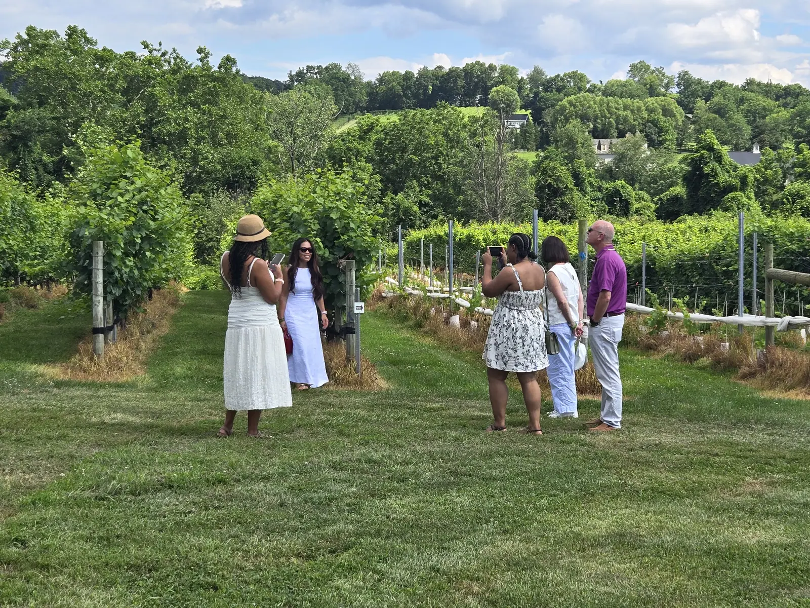 Guests walking and talking among the vines