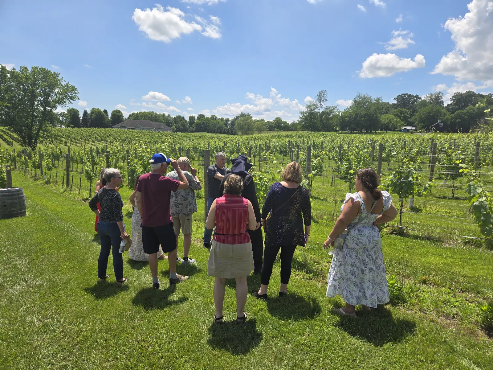 Guests walking through the vineyard on a scheduled Vineyard Voyages tour