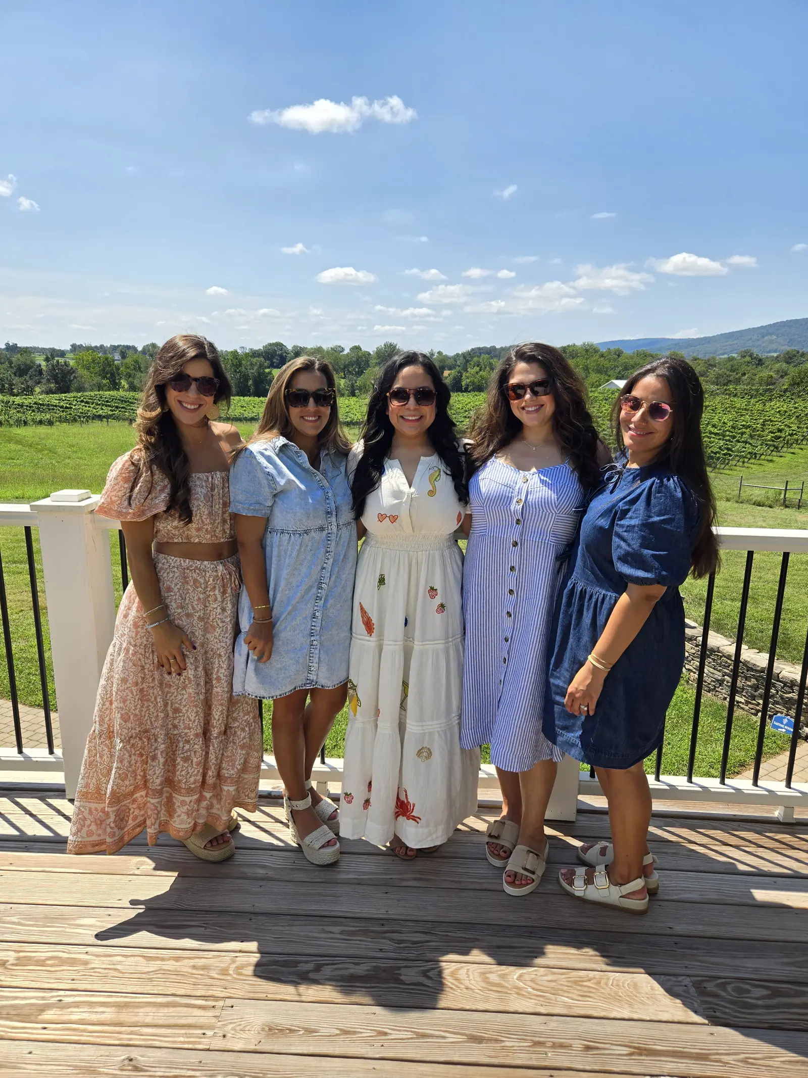 Guests standing together on a winery deck overlooking the vineyard