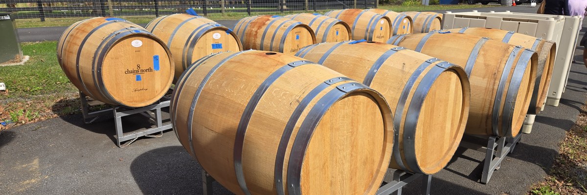 Oak wine barrels stacked on racks outside a winery