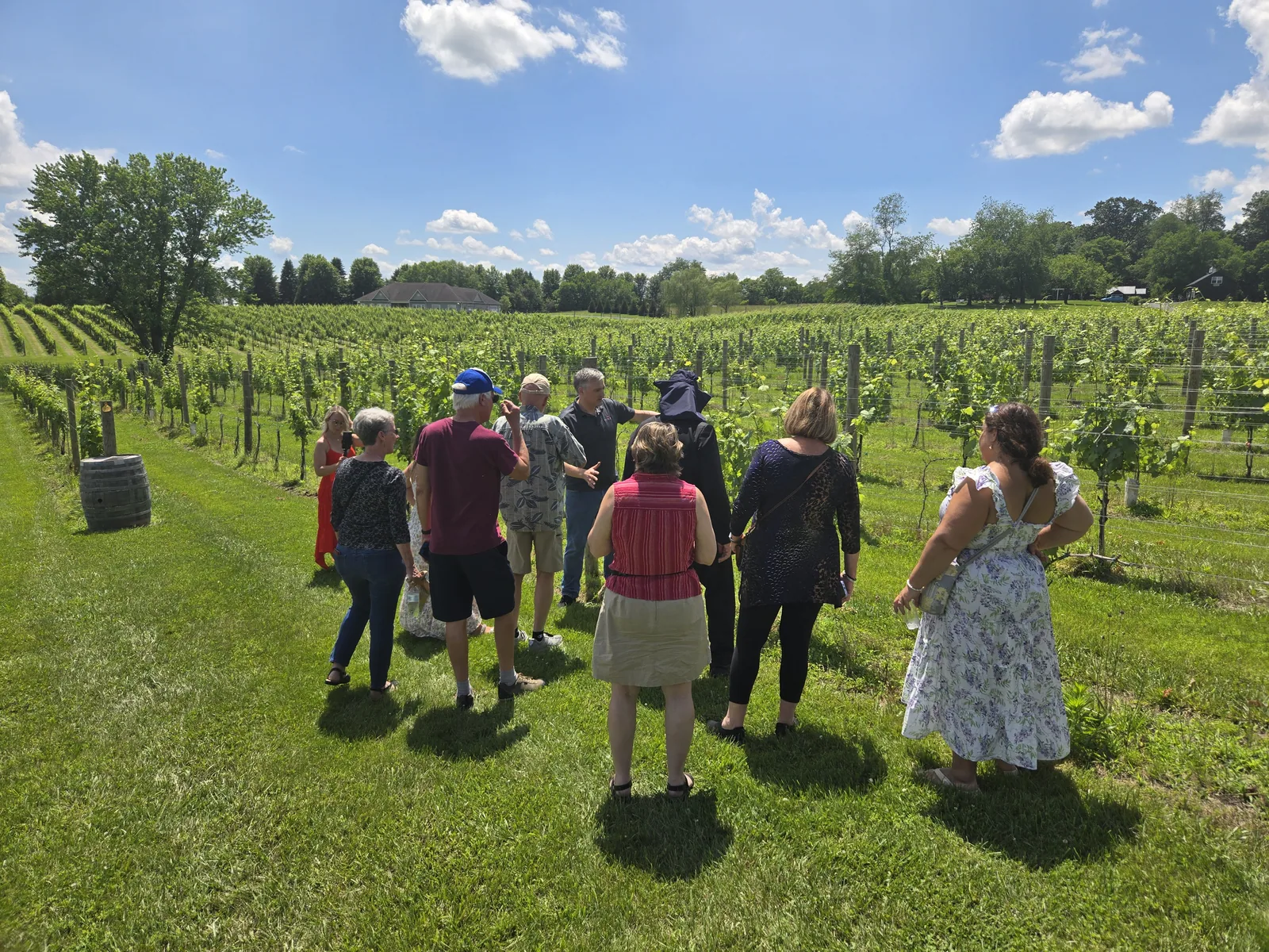 Two guests walking together between vineyard rows on a summer afternoon
