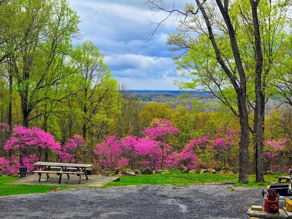 The view from Willowcroft Farm Vineyards near Leesburg in spring
